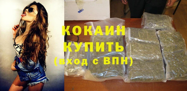прущие грибы Балабаново