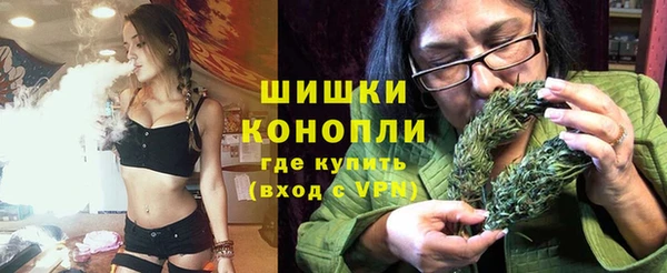 твердый Аркадак